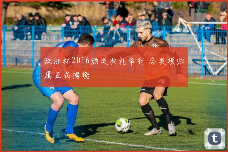 欧洲杯2016颁奖典礼举行 各奖项归属正式揭晓