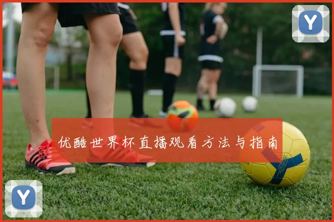 优酷世界杯直播观看方法与指南