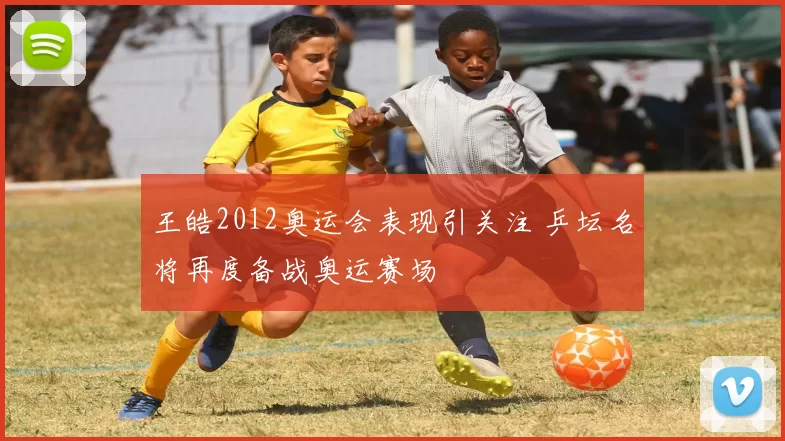 王皓2012奥运会表现引关注 乒坛名将再度备战奥运赛场