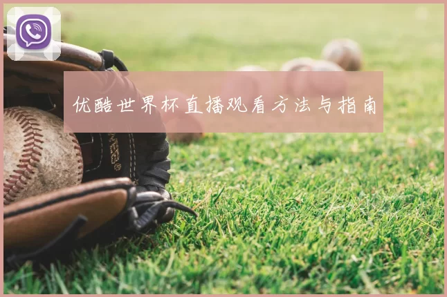 优酷世界杯直播观看方法与指南