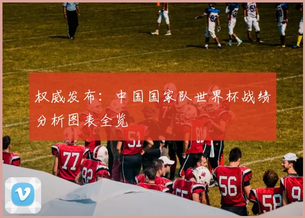 权威发布：中国国家队世界杯战绩分析图表全览