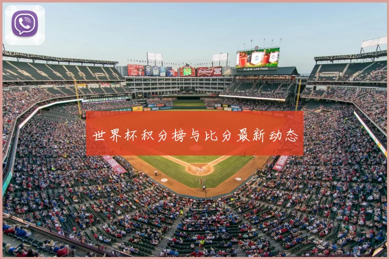 世界杯积分榜与比分最新动态