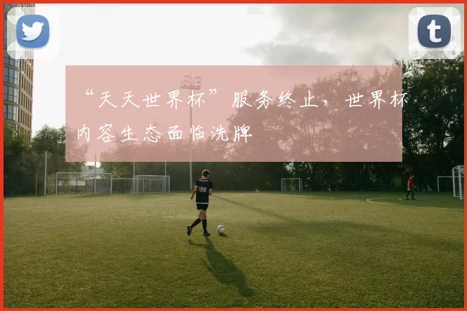 “天天世界杯”服务终止，世界杯内容生态面临洗牌