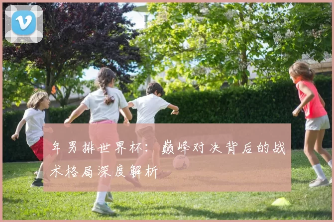 年男排世界杯:巅峰对决背后的战术格局深度解析