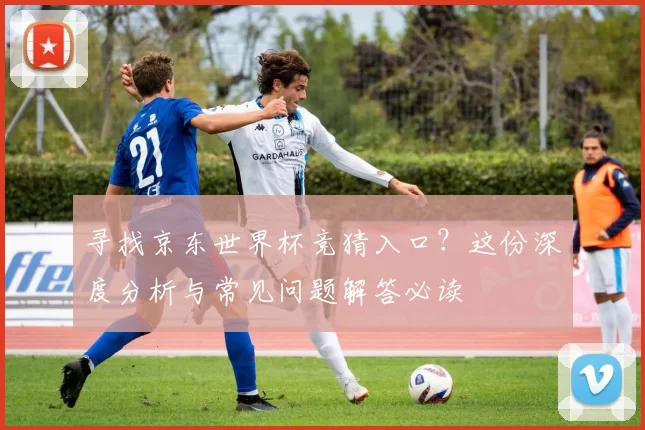 寻找京东世界杯竞猜入口?这份深度分析与常见问题解答必读