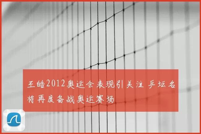 王皓2012奥运会表现引关注 乒坛名将再度备战奥运赛场
