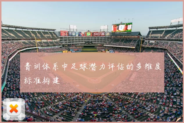 青训体系中足球潜力评估的多维度标准构建