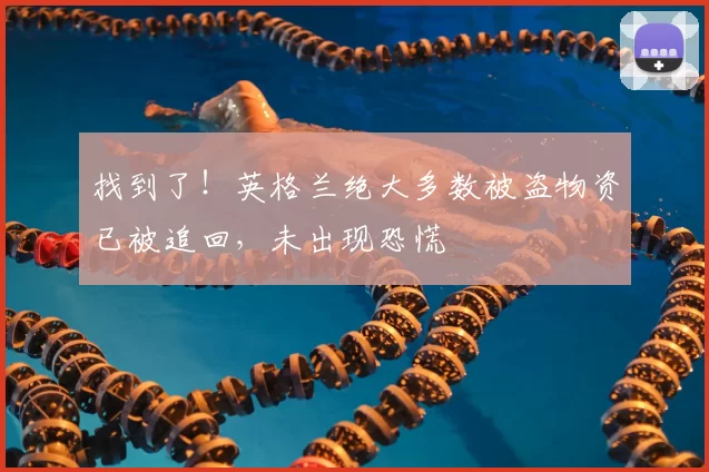 找到了!英格兰绝大多数被盗物资已被追回,未出现恐慌