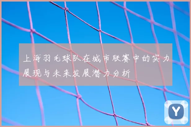 上海羽毛球队在城市联赛中的实力展现与未来发展潜力分析