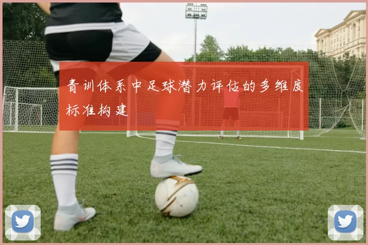 青训体系中足球潜力评估的多维度标准构建
