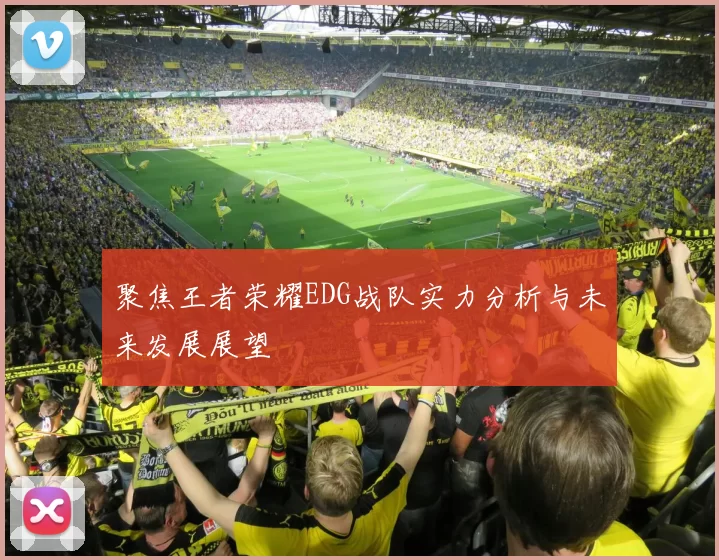 聚焦王者荣耀EDG战队实力分析与未来发展展望