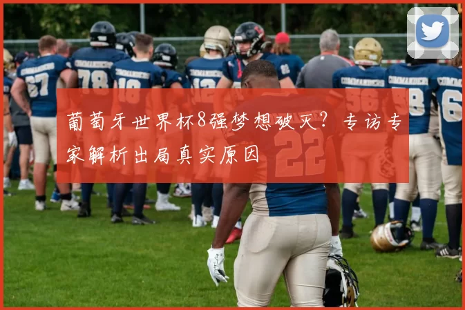 葡萄牙世界杯8强梦想破灭？专访专家解析出局真实原因