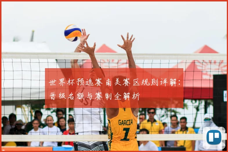 世界杯预选赛南美赛区规则详解:晋级名额与赛制全解析