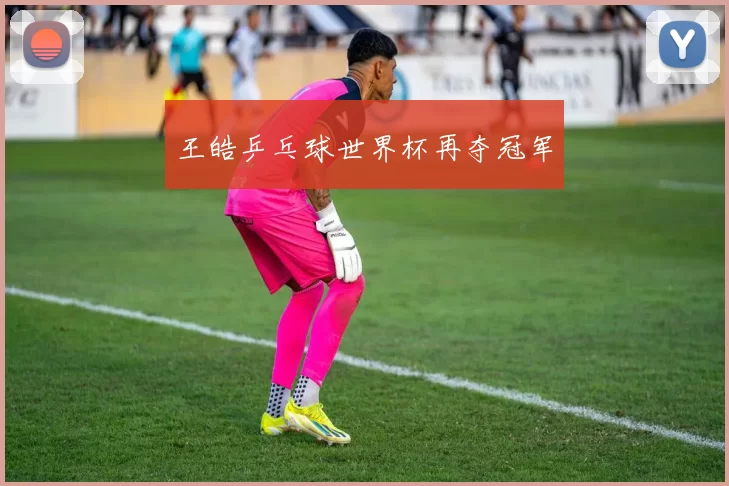 王皓乒乓球世界杯再夺冠军