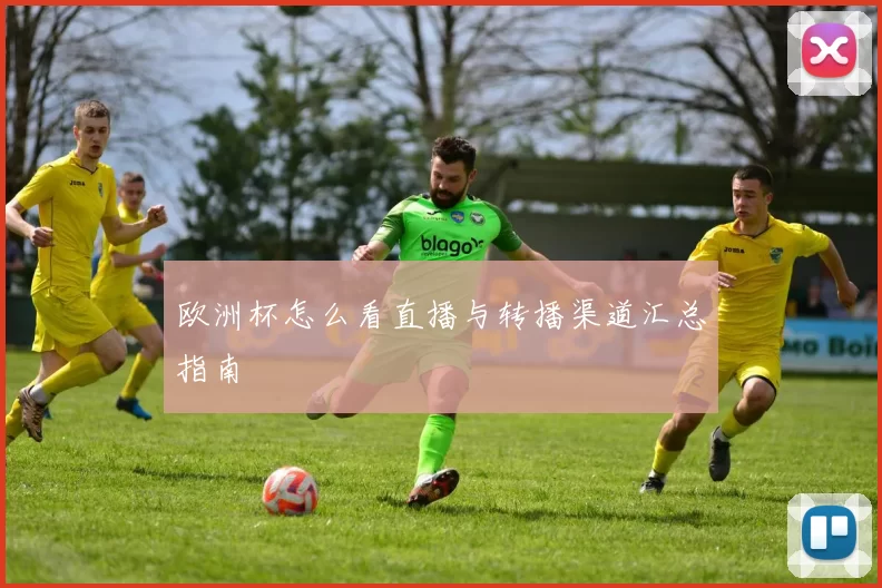 欧洲杯怎么看直播与转播渠道汇总指南