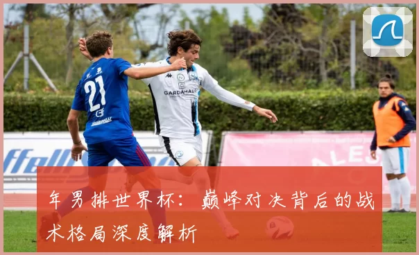 年男排世界杯：巅峰对决背后的战术格局深度解析