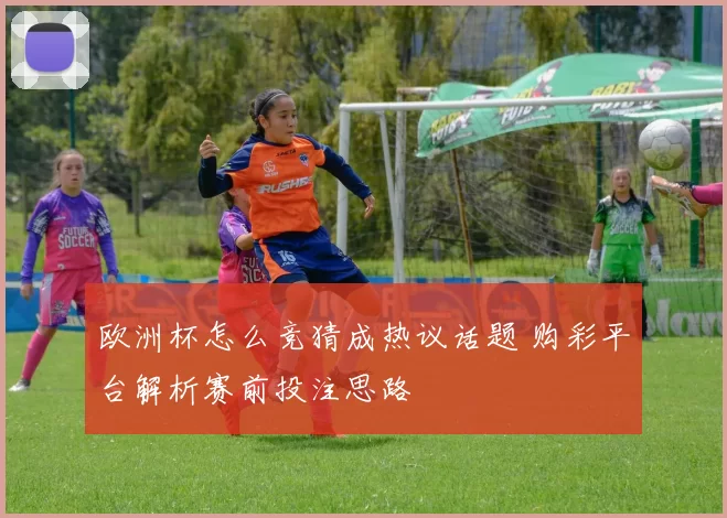 欧洲杯怎么竞猜成热议话题 购彩平台解析赛前投注思路